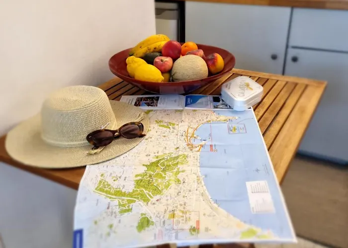 Prive Climatise Et Bon Wifi Cannes