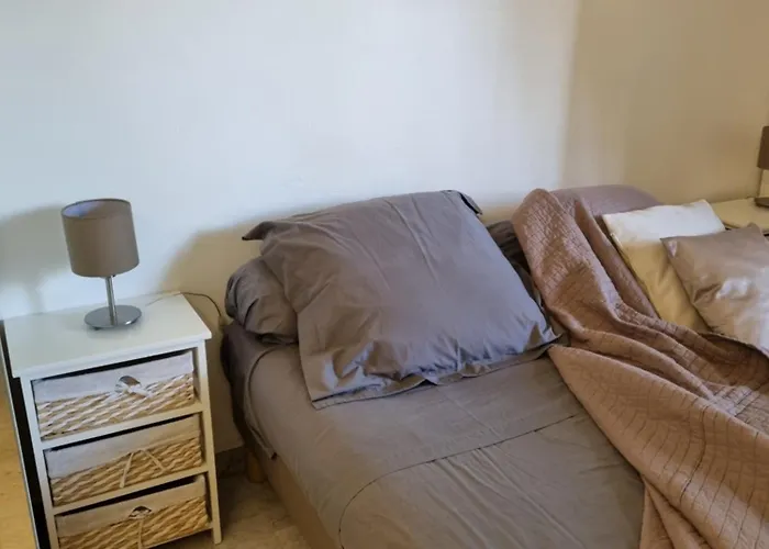 Prive Climatise Et Bon Wifi Apartment Cannes